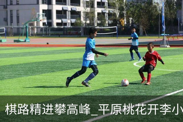 棋路精进攀高峰 平原桃花开李小溪荣升六段